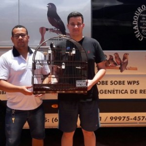Criadouro VP